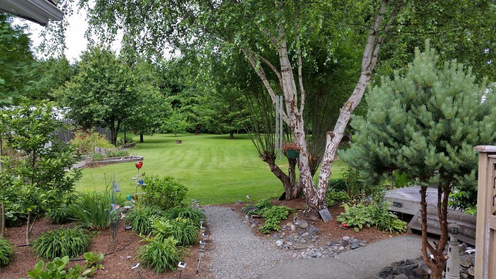 Hummingbird Guesthouse Port Alberni Exterior photo